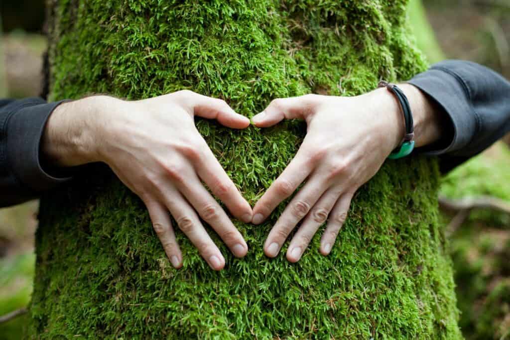 aire acondicionado sin dañar el medio ambiente