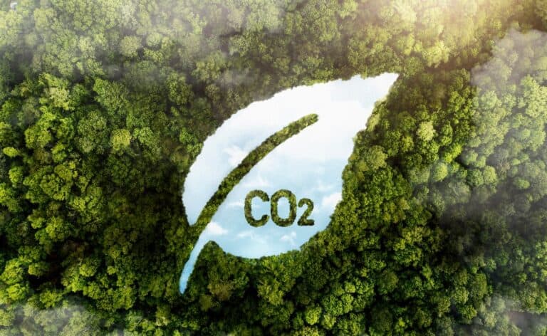 reduir la petjada de carboni